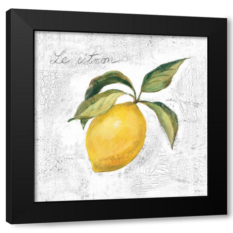 Le Citron on White Black Modern Wood Framed Art Print by Vassileva, Silvia