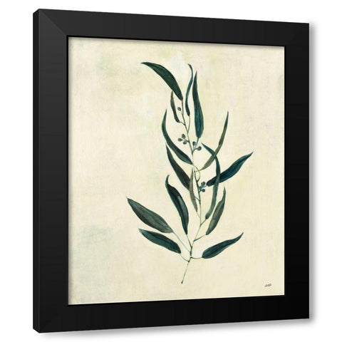 Botanical Study VI Black Modern Wood Framed Art Print with Double Matting by Purinton, Julia