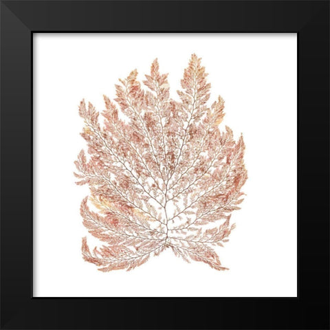 Pacific Sea Mosses I White Sq Black Modern Wood Framed Art Print by Wild Apple Portfolio