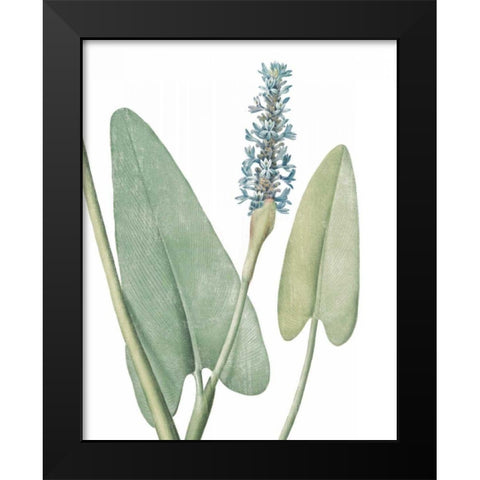 Summer Botanicals IV on White Black Modern Wood Framed Art Print by Wild Apple Portfolio