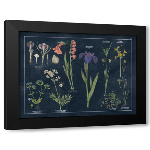 Botanical Floral Chart II Dark Blue Black Modern Wood Framed Art Print by Wild Apple Portfolio