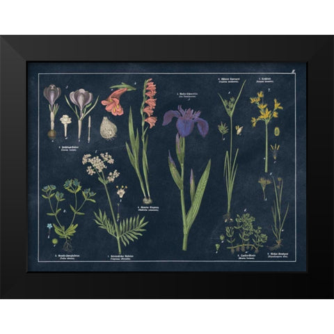 Botanical Floral Chart II Dark Blue Black Modern Wood Framed Art Print by Wild Apple Portfolio