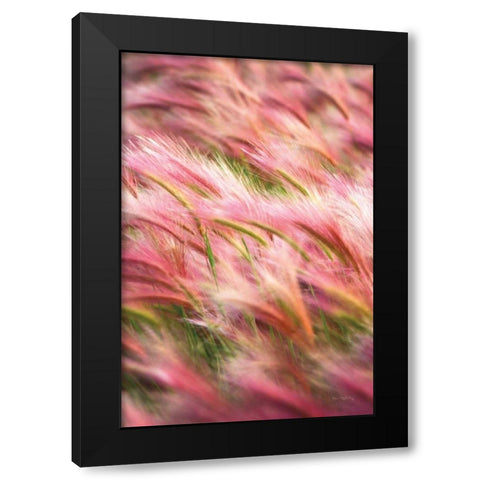 Foxtail Barley IV Black Modern Wood Framed Art Print with Double Matting by Majchrowicz, Alan