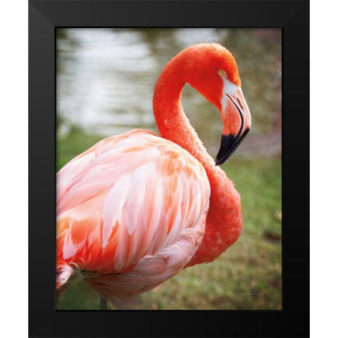 Flamingo I Black Modern Wood Framed Art Print by Van Swearingen, Debra