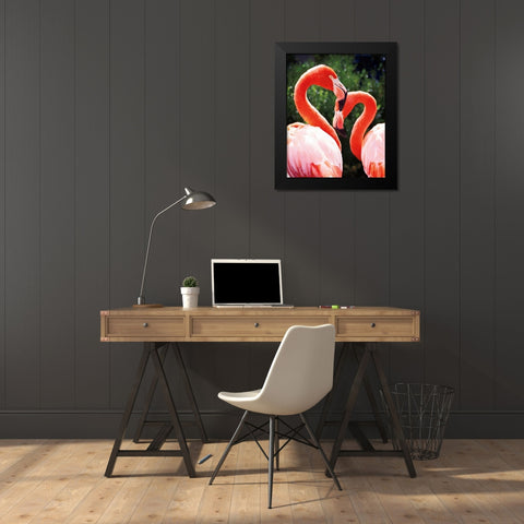 Flamingo II Black Modern Wood Framed Art Print by Van Swearingen, Debra