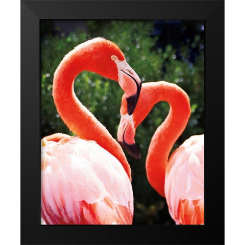 Flamingo II Black Modern Wood Framed Art Print by Van Swearingen, Debra