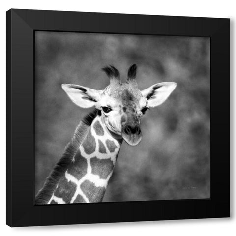 Little Guy Black Modern Wood Framed Art Print with Double Matting by Van Swearingen, Debra