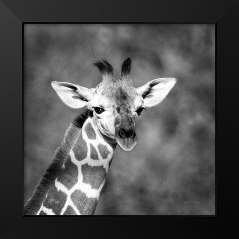 Little Guy Black Modern Wood Framed Art Print by Van Swearingen, Debra