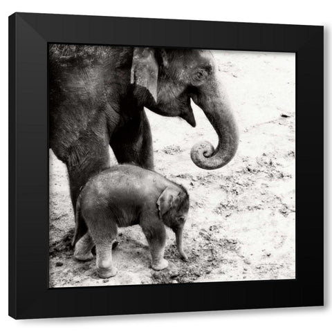 Mother and Daughter Black Modern Wood Framed Art Print with Double Matting by Van Swearingen, Debra