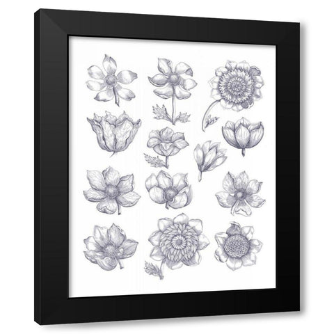 Anemone Plate I Blue Black Modern Wood Framed Art Print with Double Matting by Wild Apple Portfolio