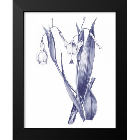 Dark Blue Botanical II Black Modern Wood Framed Art Print by Wild Apple Portfolio