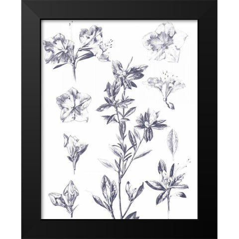 Lithograph Florals I Blue Black Modern Wood Framed Art Print by Wild Apple Portfolio