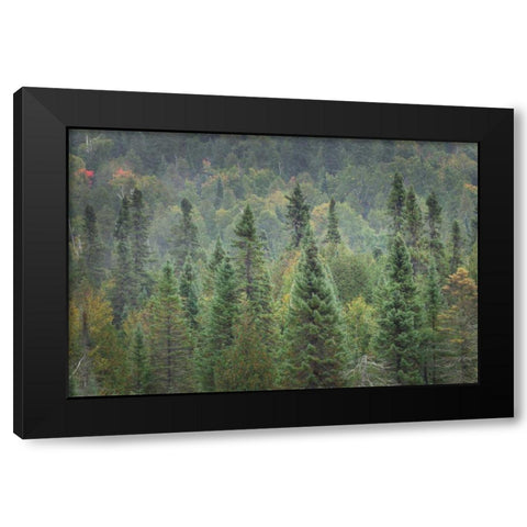 Superior National Forest I Black Modern Wood Framed Art Print with Double Matting by Majchrowicz, Alan