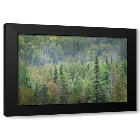 Superior National Forest II Black Modern Wood Framed Art Print with Double Matting by Majchrowicz, Alan