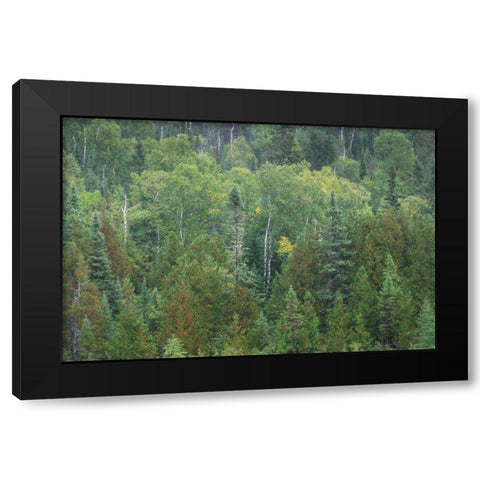 Superior National Forest III Black Modern Wood Framed Art Print by Majchrowicz, Alan