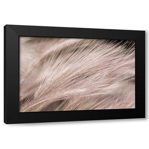 Foxtail Barley III Light Black Modern Wood Framed Art Print with Double Matting by Majchrowicz, Alan
