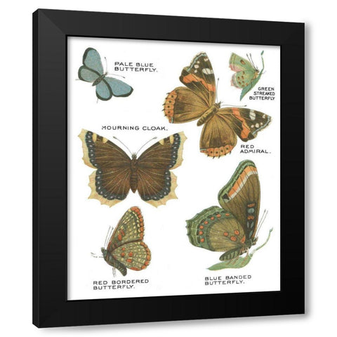 Botanical Butterflies Postcard III White Black Modern Wood Framed Art Print by Wild Apple Portfolio