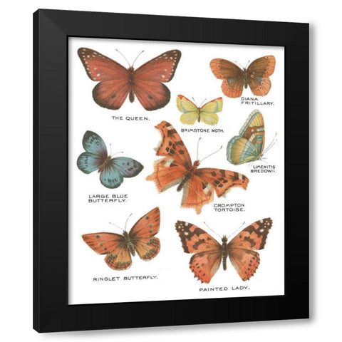 Botanical Butterflies Postcard IV White Black Modern Wood Framed Art Print by Wild Apple Portfolio