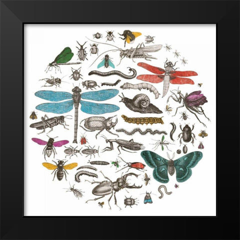 Insect Circle I Bright v2 Black Modern Wood Framed Art Print by Wild Apple Portfolio