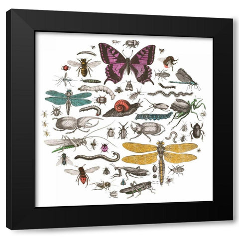 Insect Circle II Bright v2 Black Modern Wood Framed Art Print by Wild Apple Portfolio