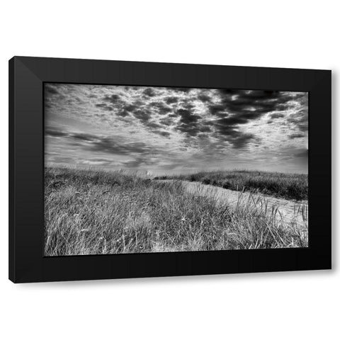 Nantucket Dunes Black Modern Wood Framed Art Print by Aledanda