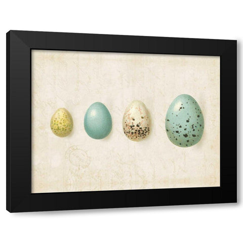 Row of Eggs II Black Modern Wood Framed Art Print by Pertiet, Katie