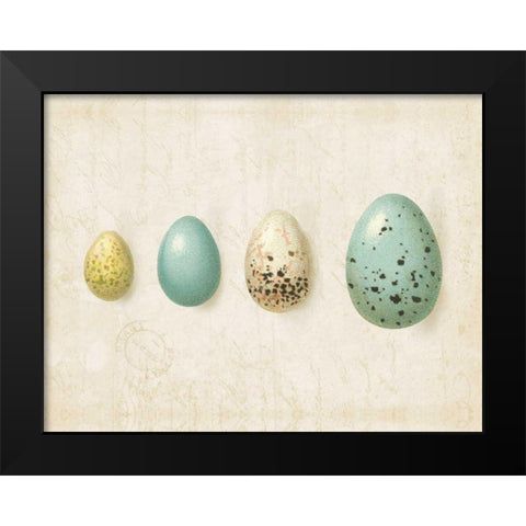 Row of Eggs II Black Modern Wood Framed Art Print by Pertiet, Katie