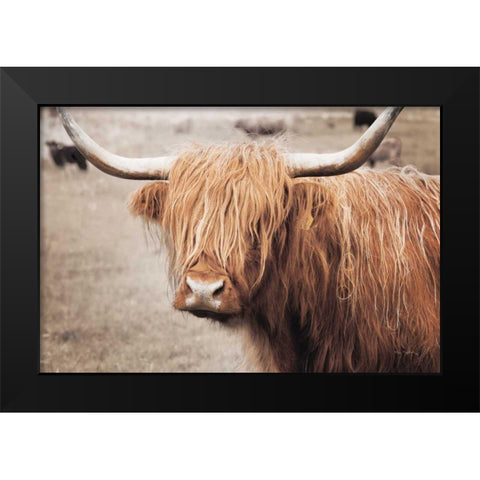 Scottish Highland Cattle I Neutral Black Modern Wood Framed Art Print by Majchrowicz, Alan
