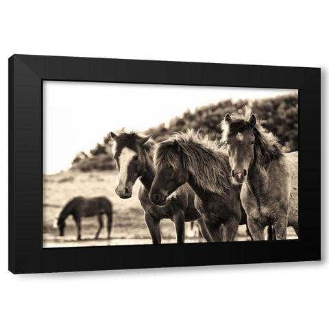 Horses Three Sepia Black Modern Wood Framed Art Print with Double Matting by Aledanda