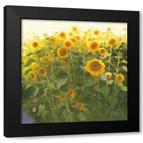 Sunflower Field Black Modern Wood Framed Art Print by Novak, Shirley