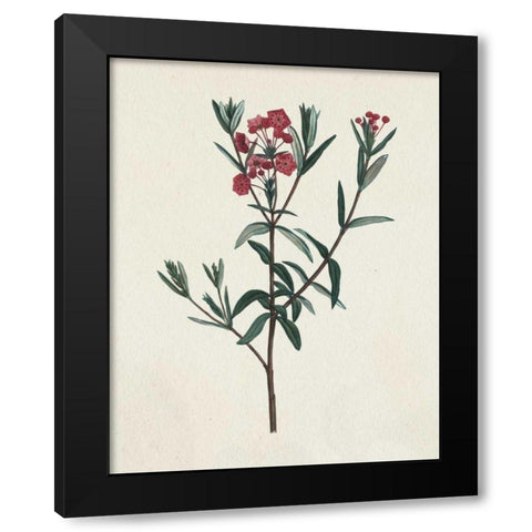 Victorian Garden Flowers II Black Modern Wood Framed Art Print by Wild Apple Portfolio