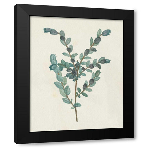Victorian Garden Greenery II Black Modern Wood Framed Art Print by Wild Apple Portfolio