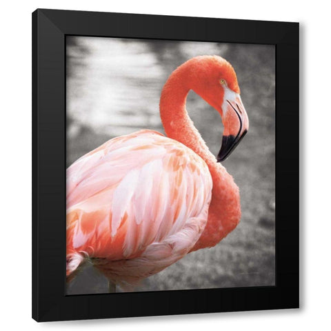 Flamingo I on BW Black Modern Wood Framed Art Print by Van Swearingen, Debra