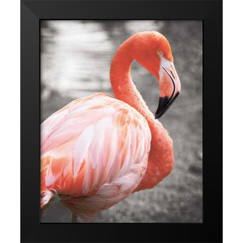 Flamingo I on BW Black Modern Wood Framed Art Print by Van Swearingen, Debra
