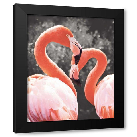 Flamingo II on BW Black Modern Wood Framed Art Print by Van Swearingen, Debra
