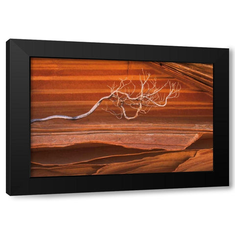 Coyote Buttes III Black Modern Wood Framed Art Print with Double Matting by Majchrowicz, Alan