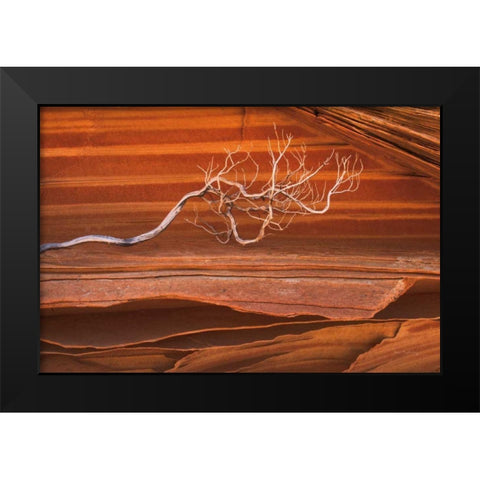 Coyote Buttes III Black Modern Wood Framed Art Print by Majchrowicz, Alan