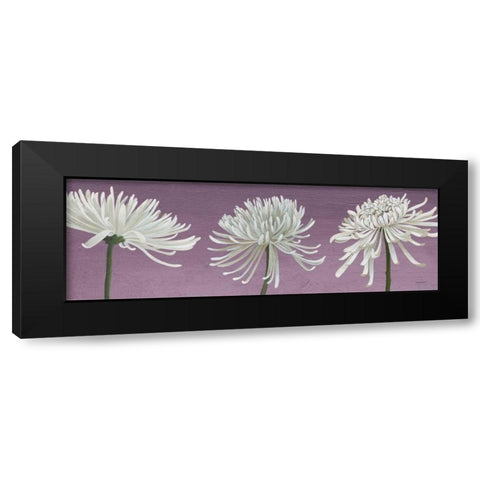 Morning Chrysanthemums V Lavender Black Modern Wood Framed Art Print by Lovell, Kathrine