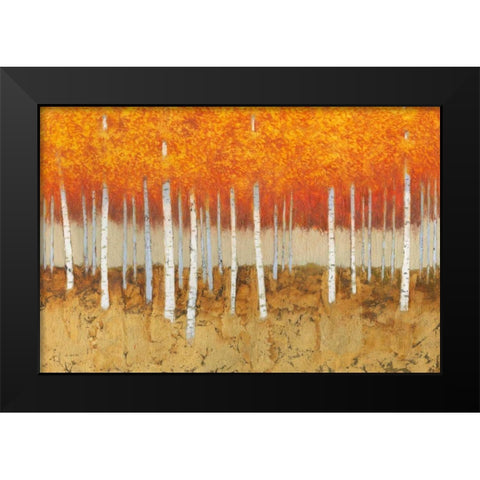 Autumn Birches Black Modern Wood Framed Art Print by Wiens, James