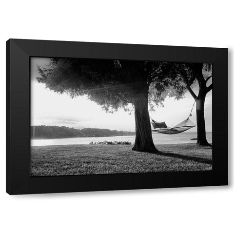 Summer Reprise Black Modern Wood Framed Art Print by Aledanda