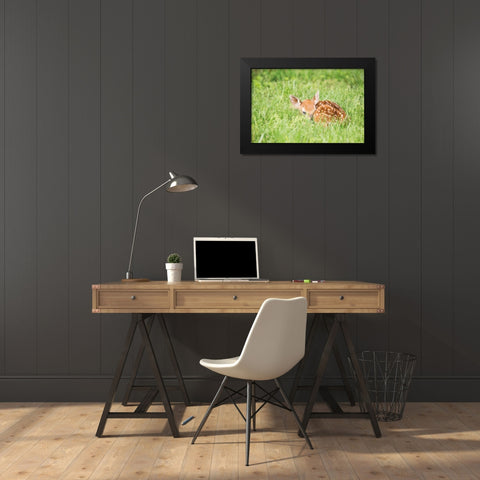 A Fawn Black Modern Wood Framed Art Print by Aledanda