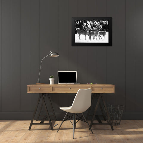 The Herd Black Modern Wood Framed Art Print by Aledanda