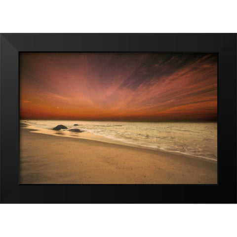 Marthas Vineyard Beach III Black Modern Wood Framed Art Print by Aledanda