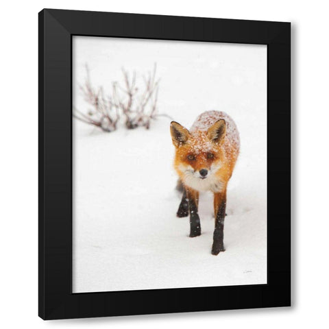 Red Fox III Black Modern Wood Framed Art Print by Aledanda