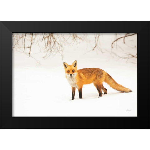 Red Fox IV Black Modern Wood Framed Art Print by Aledanda