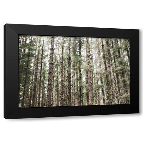 Mossy Pines Black Modern Wood Framed Art Print by Marshall, Laura