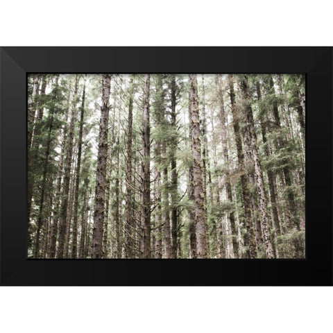 Mossy Pines Black Modern Wood Framed Art Print by Marshall, Laura