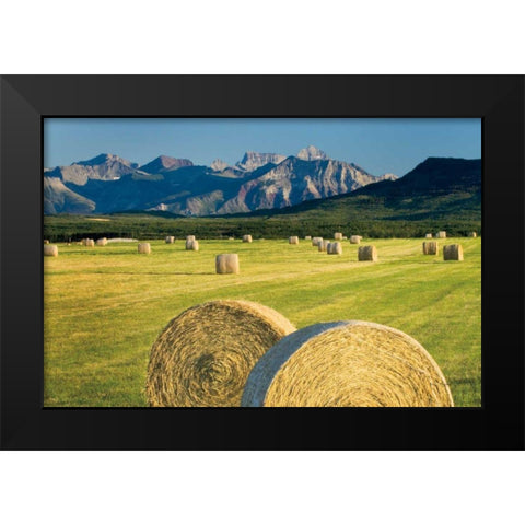 Waterton Hay Bales Black Modern Wood Framed Art Print by Majchrowicz, Alan