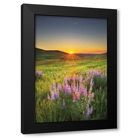 Prairie Sunrise Black Modern Wood Framed Art Print by Majchrowicz, Alan
