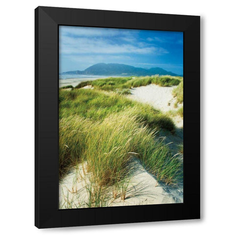 Oregon Dunes Grass Black Modern Wood Framed Art Print by Majchrowicz, Alan